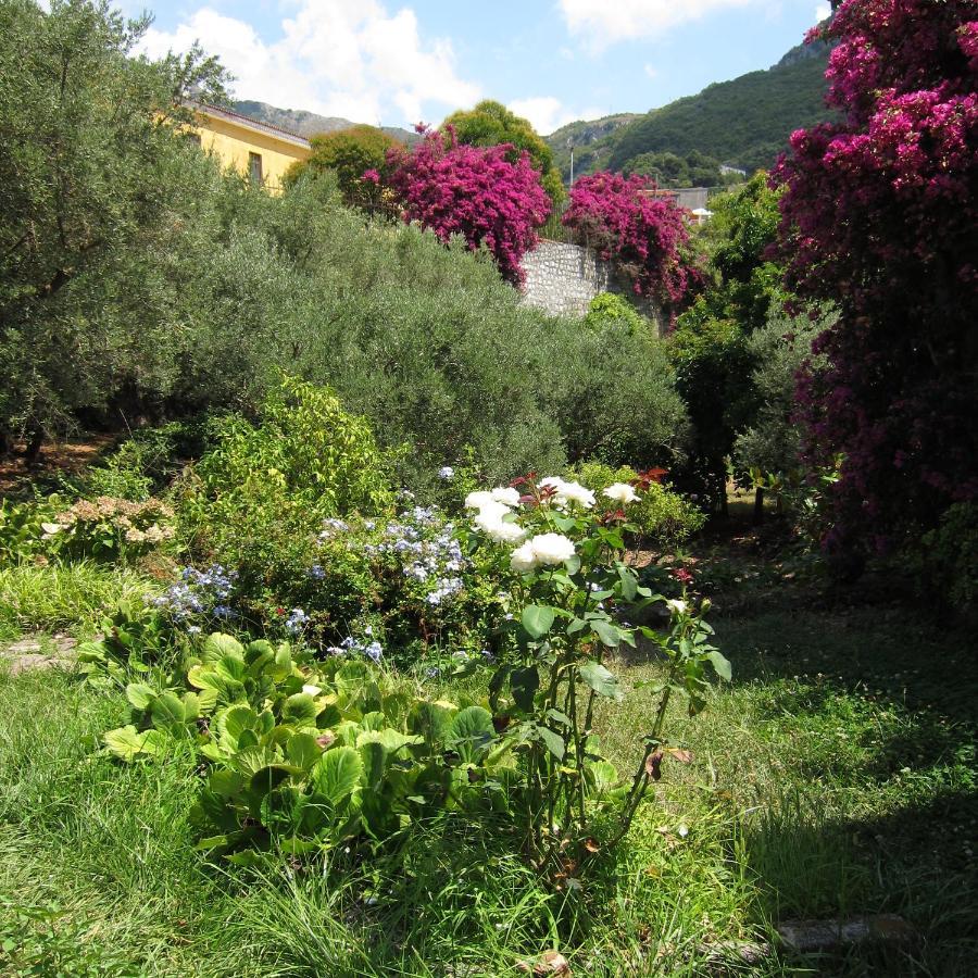 Casa Puccini B&B มาราเตอา ภายนอก รูปภาพ
