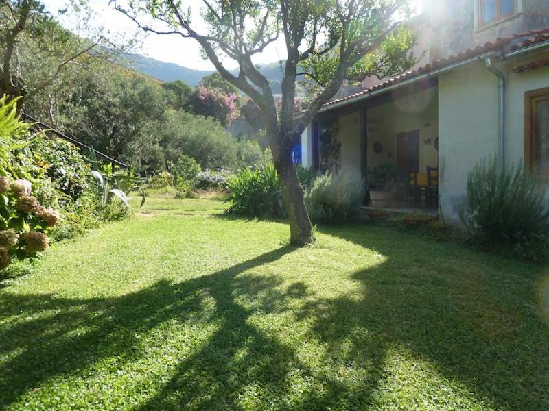 Casa Puccini B&B มาราเตอา ภายนอก รูปภาพ